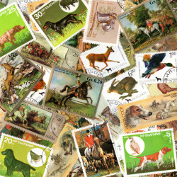 Chasse 25 timbres thématiques tous différents.