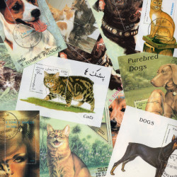 Chats - Chiens 25 blocs-feuillets de timbres thématiques.