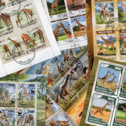 Girafes 10 blocs-feuillets de timbres thématiques.