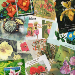 Fleurs 25 blocs-feuillets de timbres thématiques.
