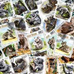 Koalas 25 timbres thématiques tous différents.
