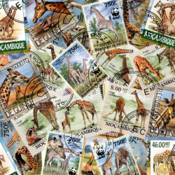 Girafes 25 timbres thématiques tous différents.