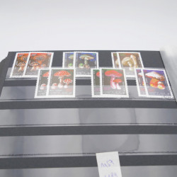 Lot de timbres de Vietnam neufs et oblitérés en 7 albums.