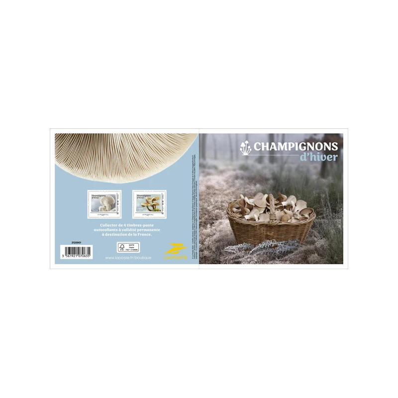 Prophila Collection Brésil 2352,2356,2364 (complète.Edition.) Neuf Avec Gomme Originale ** MNH 1990 Fleurs (Timbres Pour Les Collectionneurs) Plantes/Champignons