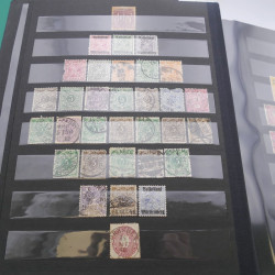 Lot massif de timbres d'Allemagne neufs et oblitérés en 6 albums.