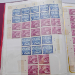 Lot massif de timbres d'Allemagne neufs et oblitérés en 6 albums.