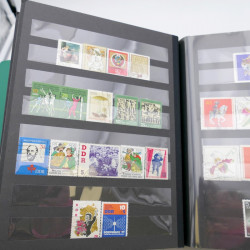 Lot massif de timbres d'Allemagne neufs et oblitérés en 6 albums.