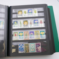 Lot massif de timbres d'Allemagne neufs et oblitérés en 6 albums.