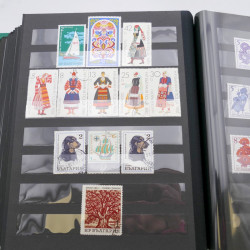 Lot massif de timbres d'Allemagne neufs et oblitérés en 6 albums.