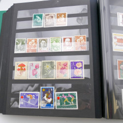 Lot massif de timbres d'Allemagne neufs et oblitérés en 6 albums.