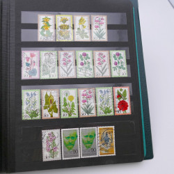 Lot massif de timbres d'Allemagne neufs et oblitérés en 6 albums.