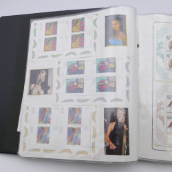 Lot massif de timbres d'Allemagne neufs et oblitérés en 6 albums.