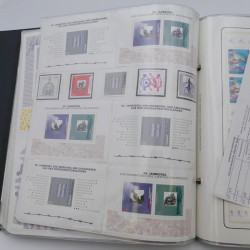 Lot massif de timbres d'Allemagne neufs et oblitérés en 6 albums.