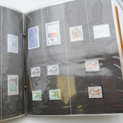 Lot massif de timbres d'Allemagne neufs et oblitérés en 6 albums.