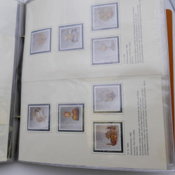Lot massif de timbres d'Allemagne neufs et oblitérés en 6 albums.