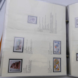 Lot massif de timbres d'Allemagne neufs et oblitérés en 6 albums.