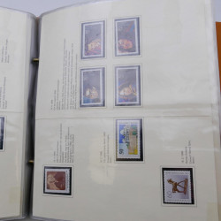Lot massif de timbres d'Allemagne neufs et oblitérés en 6 albums.