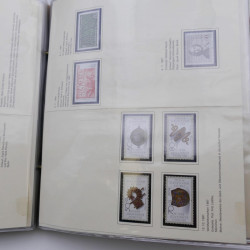 Lot massif de timbres d'Allemagne neufs et oblitérés en 6 albums.