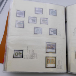 Lot massif de timbres d'Allemagne neufs et oblitérés en 6 albums.