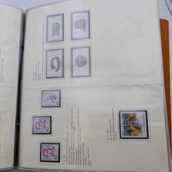 Lot massif de timbres d'Allemagne neufs et oblitérés en 6 albums.