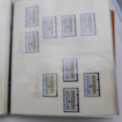 Lot massif de timbres d'Allemagne neufs et oblitérés en 6 albums.