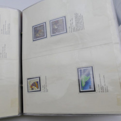 Lot massif de timbres d'Allemagne neufs et oblitérés en 6 albums.