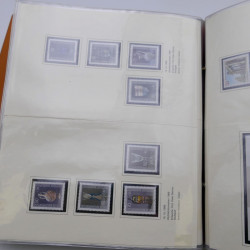 Lot massif de timbres d'Allemagne neufs et oblitérés en 6 albums.