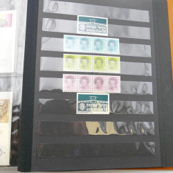 Lot de timbres de Pays-Bas neufs et oblitérés en 2 albums.