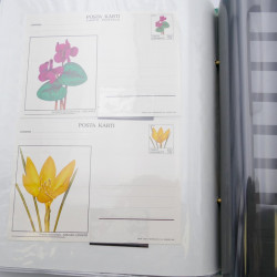 Lot de timbres de Turquie neufs et oblitérés en 2 albums.