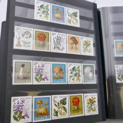 Lot de timbres de Pologne neufs et oblitérés en 2 albums.
