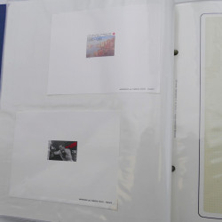 Vrac de timbres de France neufs et oblitérés en un carton.