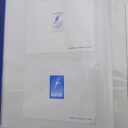 Vrac de timbres de France neufs et oblitérés en un carton.