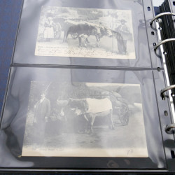 Lot de commémoratifs et cartes postales de France 1879-1956.