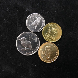 Zambie 4 monnaies de collection.