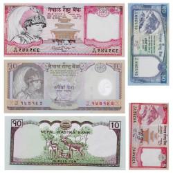 Népal 5 billets de banque neufs.