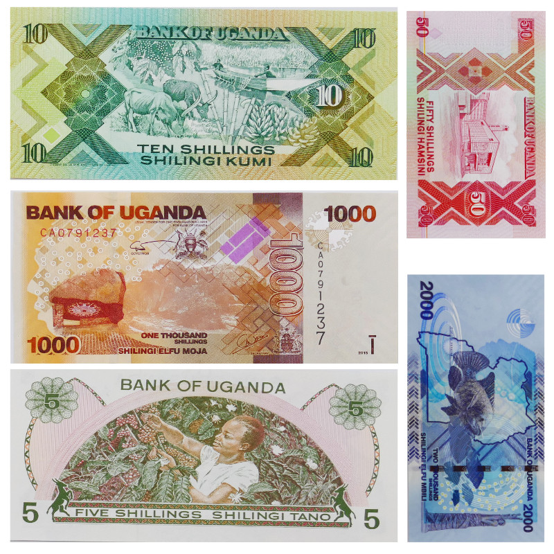 Ouganda 5 billets de banque neufs.