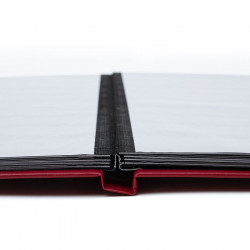 Classeur à bandes pour timbres 16 pages noires.