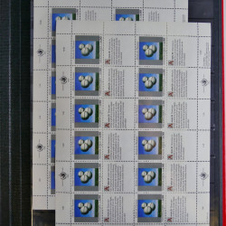 Lot de feuillets timbres de Nations Unies neufs** en 3 albums.