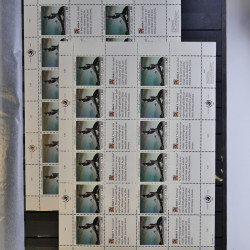 Lot de feuillets timbres de Nations Unies neufs** en 3 albums.