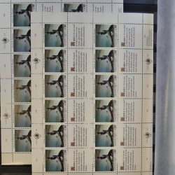 Lot de feuillets timbres de Nations Unies neufs** en 3 albums.
