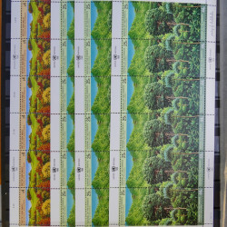 Lot de feuillets timbres de Nations Unies neufs** en 3 albums.