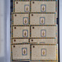 Lot de feuillets timbres de Nations Unies neufs** en 3 albums.