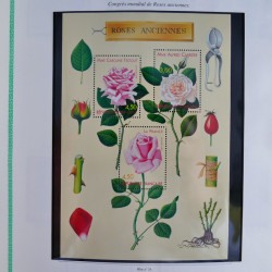 Collection de timbres de France neufs** 1999-2005 en album FO Yvert.