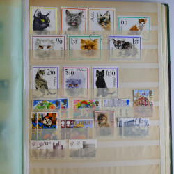Vrac philatélique de timbres du monde en un carton.