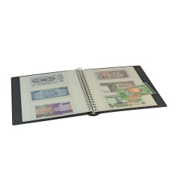 Gaines de protection 180 x 85 mm pour billets de banque.