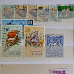Vrac philatélique de timbres du monde en un carton.