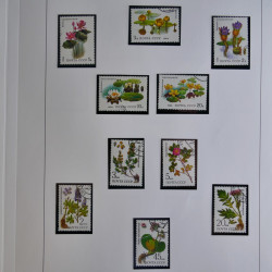 Vrac philatélique de timbres du monde en un carton.