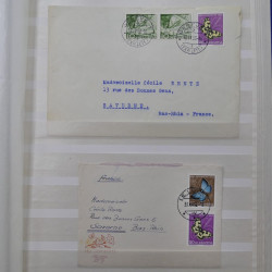 Collection spécialisée timbres de Suisse Pro Juventute 1913-1960 sur enveloppe.