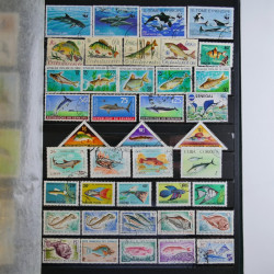 Vrac philatélique de timbres du monde en un carton.