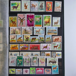 Vrac philatélique de timbres du monde en un carton.
